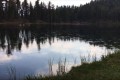 【動画】一体何事!?男性が声をあげると、池の表面のあちらこちらに波紋が!
