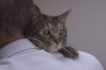 【検証動画に涙】猫は2年前まで一緒に過ごした飼い主の声を覚えているか?