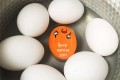こんなの欲しかった!ゆで卵を好みの固さに調整できる便利な100均グッズが登場!
