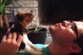 「ワォーン!」を教える飼い主…真似をする子犬のビーグルが可愛らしい♪