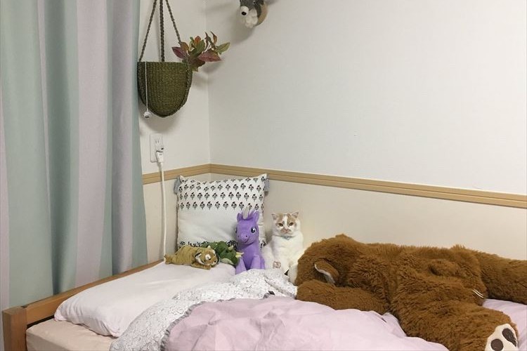 どこにいるか探しちゃったじゃん!ぬいぐるみに馴染みすぎなホイップちゃんが可愛すぎ