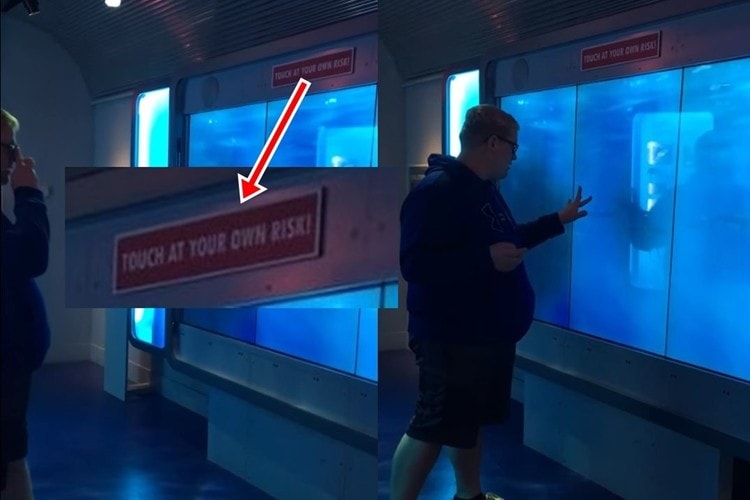 【ナイスリアクション】「タッチは自己責任」と書かれたディスプレイをタッチした男性のリアクションが100点満点！