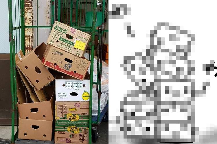 「この光景、なんかこう見えた…」言われた瞬間それにしか見えない上、すこぶる愛おしくなる写真