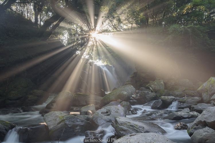 この光景を見るために一年間通い続けた…熊本で撮影された神々しい光景が話題に！