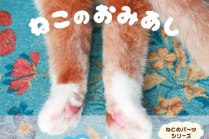 思わずスリスリしたくなる、猫の後ろ足を集めた写真集『ねこのおみあし』が発売！