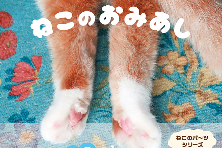 思わずスリスリしたくなる、猫の後ろ足を集めた写真集『ねこのおみあし』が発売！