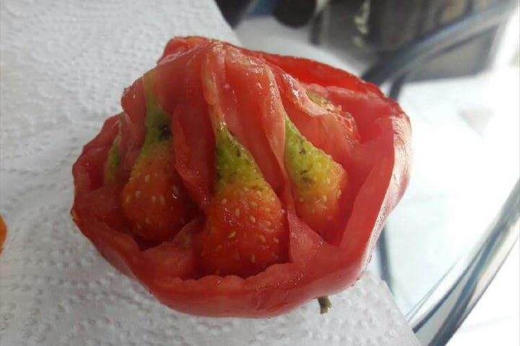 トマトの中身でイチゴが育っていた！？奇妙なトマトが発見されて話題に