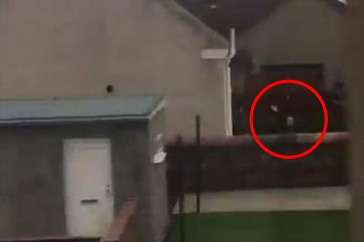 「孫を想う気持ちに感動した」バス通勤の孫に毎朝手を振る祖父母の映像が話題に！