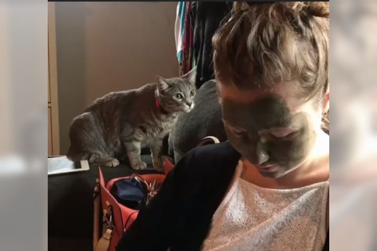 「その顔でこっち見ないでニャ!」泥パックをしている飼い主さんにブチギレる猫ちゃん