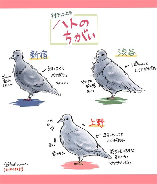 hato_01_500