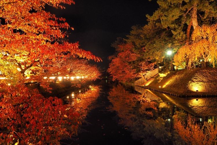 弘前公園の紅葉が訳分からないくらい綺麗だった…風情ある古城が秋の装いに