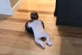 【動画】まるでロデオのようにルンバを乗りこなす赤ちゃんが話題に！