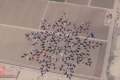 【世界新記録達成】217人のスカイダイバーが大空に花を描くようなフォーメーションを形成!
