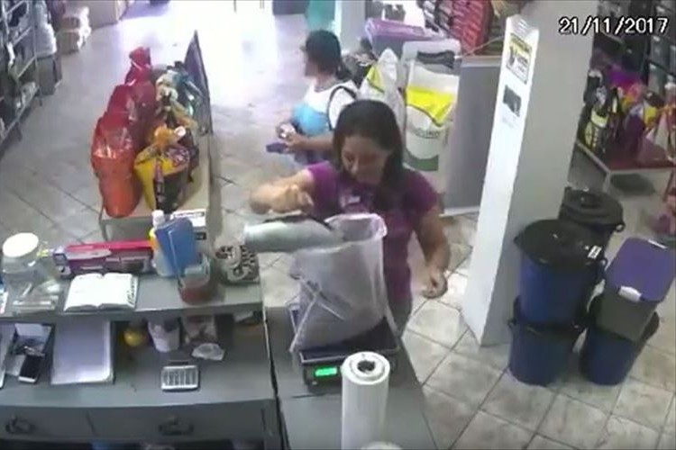 とあるお店に可愛い強盗が侵入!?あっという間にお金を持ってっちゃった