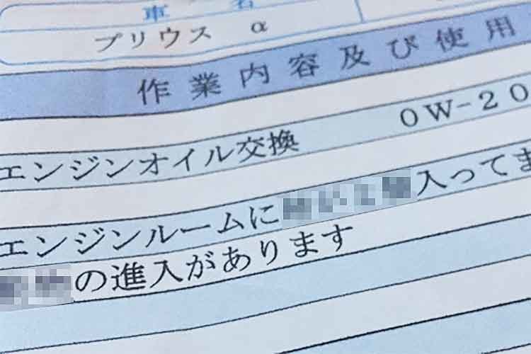 まさか…エンジンルームに動物の痕跡！？オイル交換の請求書に驚愕の事実！