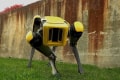 あのキモカワ四足歩行ロボット「SpotMini」の最新版が登場!動きが滑らかに