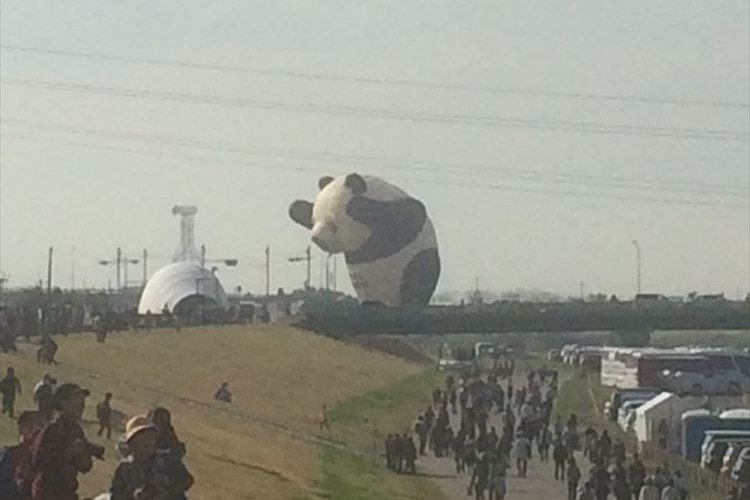 パンダが佐賀の街を破壊！？バルーンフェスタで飛んだパンダがまるで怪獣映画みたい