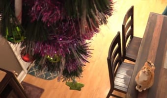 みんなが知恵を絞ったクリスマスツリーの猫対策8選！