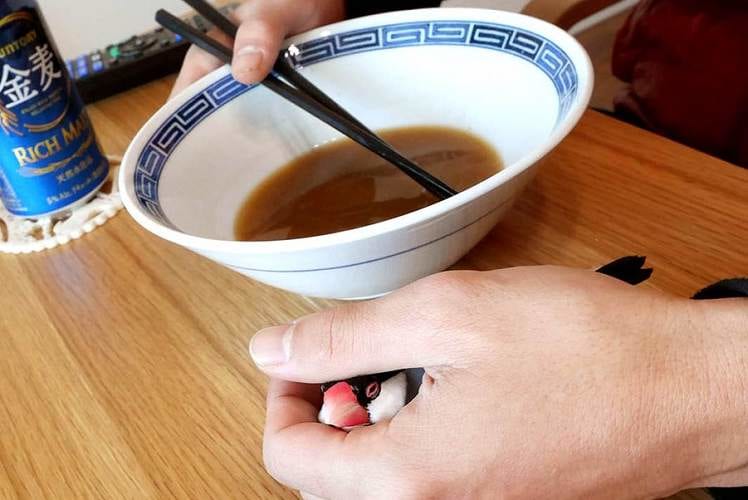 ん？何か違和感…何気ない日常の一コマかと思いきや、とんでもないモノが写っていた！