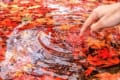 水に浮かぶ紅葉の写真をモチーフにしたレジン…再現度が凄すぎると話題に!