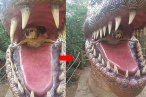 恐竜に食べられている！？ワンコがめちゃめちゃ笑顔で楽しそうだワン♪