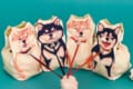 お散歩中にピタッと止まる…柴犬のあるあるシーンを再現したきんちゃく袋が可愛い♪