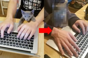 可愛い子猫ちゃんがたった15ヶ月で"凄腕トレーダー"に変貌を遂げる！