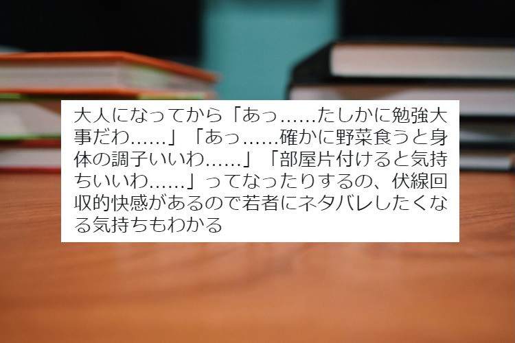 まさに伏線回収的快感…(笑)大人に言われてきたことって、大人になってからストンと腑に落ちるよね