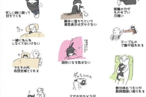 “猫を飼うことの大変さ”を表現したイラストに多くの共感の声「切なくなる」「猫最高です」