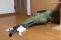 ワニの形をしたカゴに口から入るも途中で引っかかってフリーズ!?ツッコミどころ満載