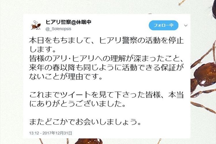 ヒアリか否かを識別してくれる『ヒアリ警察』さんが休眠へ…多くの感謝の声