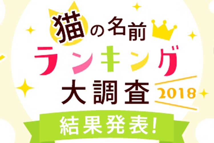 うちのニャンコの名前はあるかな？猫の名前ランキング調査2018！