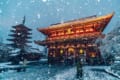 【東京×雪】東京に雪が降った日の美しい写真が海外でも話題に!