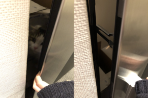 飼い猫が飼い主を家から閉め出す事案発生！しかし、かわいいから許された模様