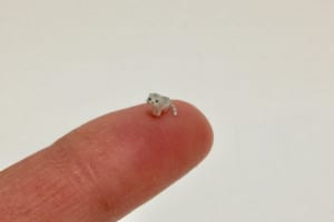 指先サイズでめちゃ可愛い！粘土で作った「5mmシリーズ作品」が凄すぎだと話題に