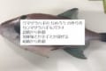 これは重要…!『なめろう』を作るうえで忘れてはいけニャい“ある工程”とは!?