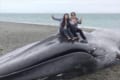 「怒りが抑えきれない…」クジラの亡骸に腰掛けて記念撮影をする観光客