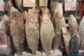 マイナス50度の魚市場の光景が異様だった…天然の冷凍庫で魚がカチンコチン！