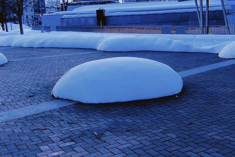 あら?どこかで見たことあると思ったら…あのアイスにそっくりだった!