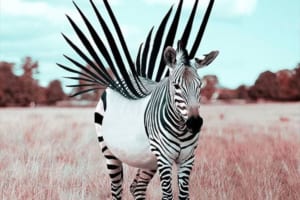 20歳の若さでこの大作！フランス人アーティストが制作した動物アートが幻想的