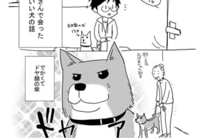【漫画】ドヤ顔の柴ワンコが動物病院で豹変！？大好きなおばあちゃんがリードを離すと…