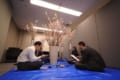 室内に本物の桜の木!斬新な期間限定サービス「花見会議室」がシュール極まりない