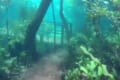 世界一の透明度で知られるブラジルのプラタ川が氾濫→ハイキングコースが美しい水の世界に!