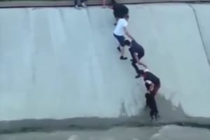 貯水池に落ちてしまった犬を協力して救出！勇気ある行動が話題に