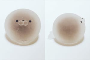 やわらかもっちりな透明ボディ！水まんじゅうあざらしちゃんがめちゃ可愛い