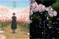 さくら、3月9日、桜坂…『春といえばこの曲だよね』と思う定番ソング【12選】