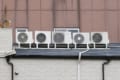 「ちょっとすごい光景に出くわした!」一体何がすごいのかみんな分かる?