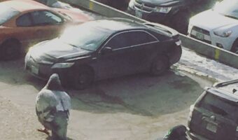 嘘だろ!?駐車場をうろつく巨大な鳩が!これは一体どういうことなのか!?