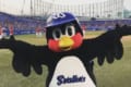 「お前が言うなよって言われるんだろうけど…」つば九郎が品のないヤジに苦言