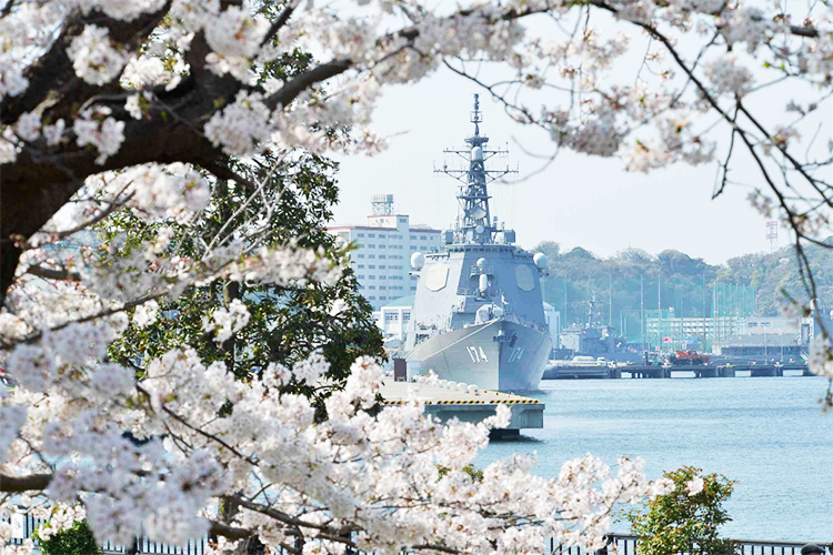 国防機と桜のコラボレーションが感無量…駐屯地イベントも開催!